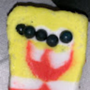 Meet your Posher, Scarlett